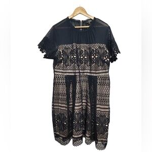 Suzanne Betro Navy Lace Sheer Top Nude Lining‎ Short Sleeve Knee Length Dress 2X